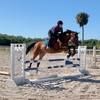 shredquestrian